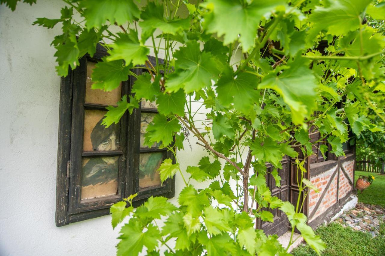 Lodge Morava Vrnjačka Banja 외부 사진